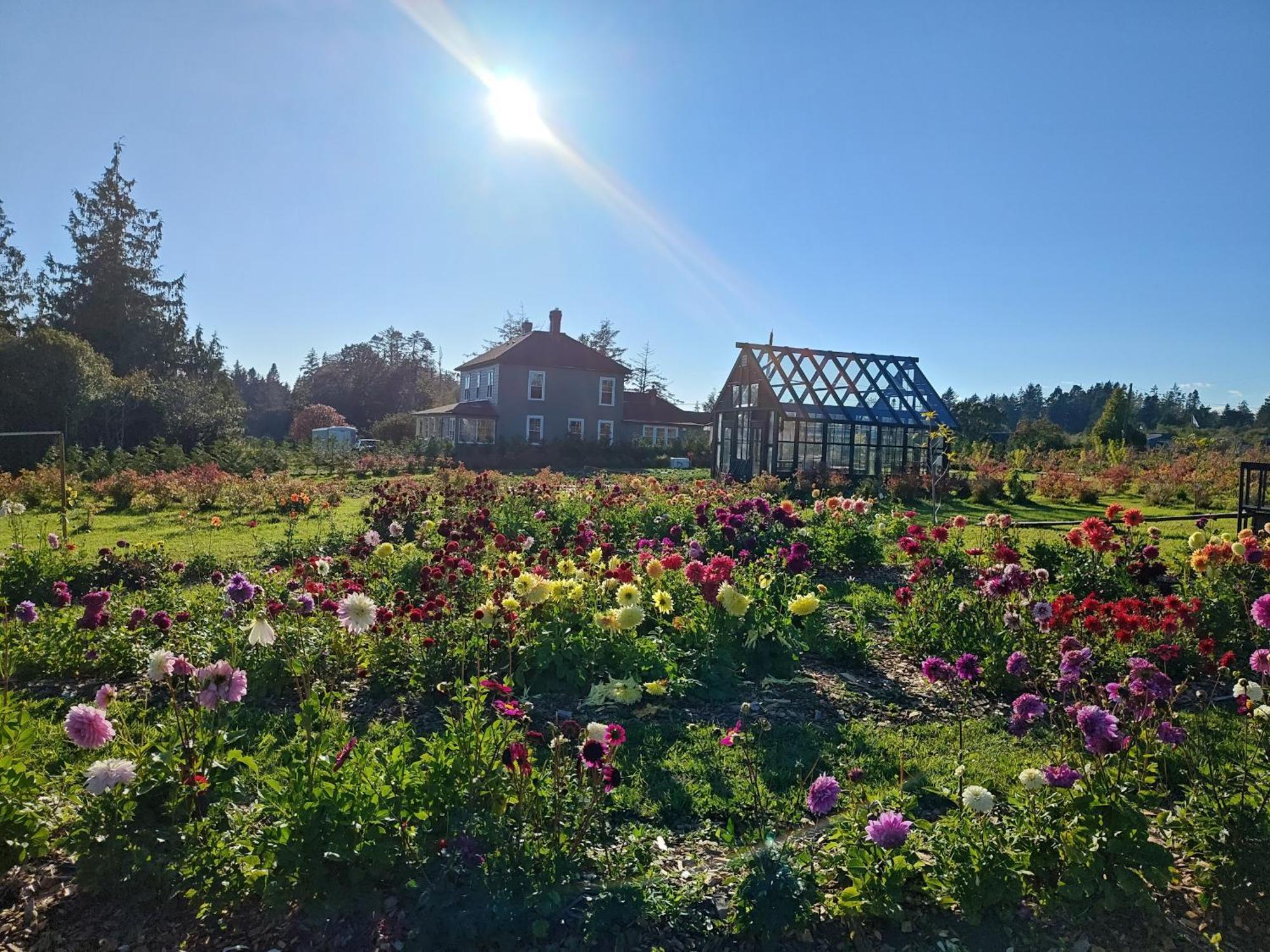 Woodside Farm Country Inn Сук Экстерьер фото